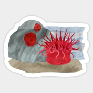 Sea anemone Sticker